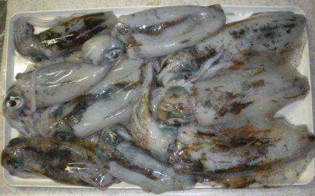 まぁ良しとする