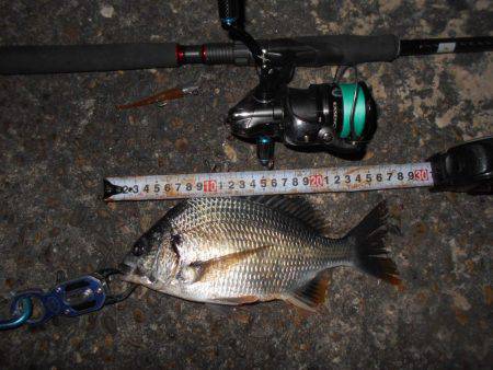 バイブのテクトロでヒット。