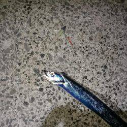 渋かった‼刀狩り