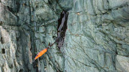 久々のエギング投稿