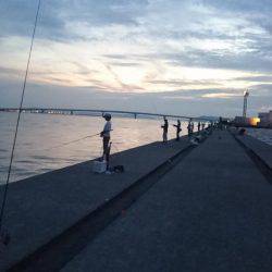 今年初ワインド　なんとか釣れました