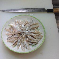 どこに行ったんでしょう？