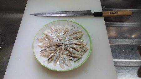 どこに行ったんでしょう？