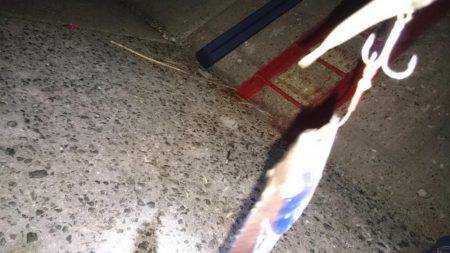 修行!サーベルハント