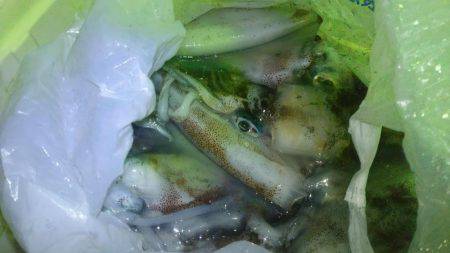 ゴムボートティップラン