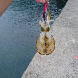 久々の釣行です❤