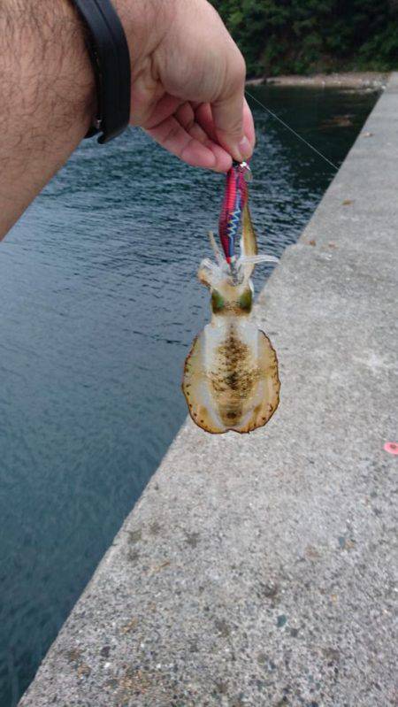 久々の釣行です❤