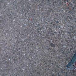 タカベ大好きっ