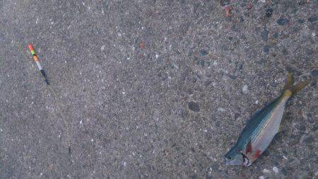 タカベ大好きっ