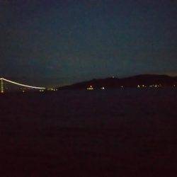 ケンサキ狙いですが・・・