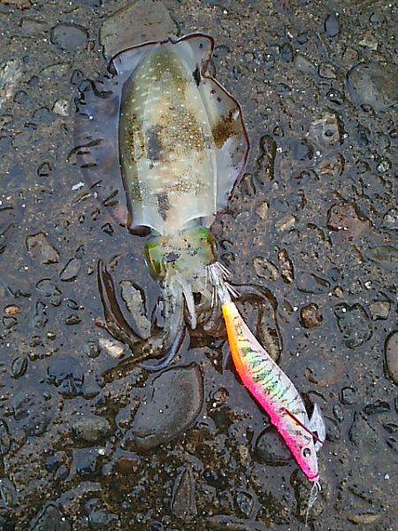 遠征２日目 須賀利編