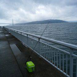 大蔵海岸でエギング