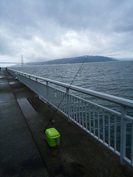大蔵海岸でエギング