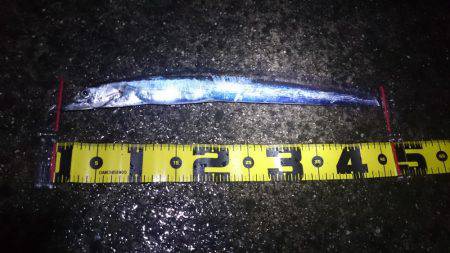 水軒でミニタチ