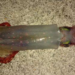 爆風が止んだ瞬間