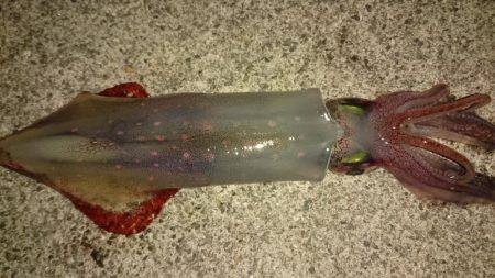 爆風が止んだ瞬間