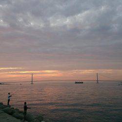 サイズは選べません