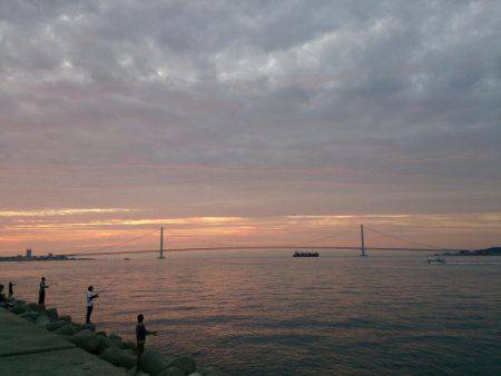 サイズは選べません