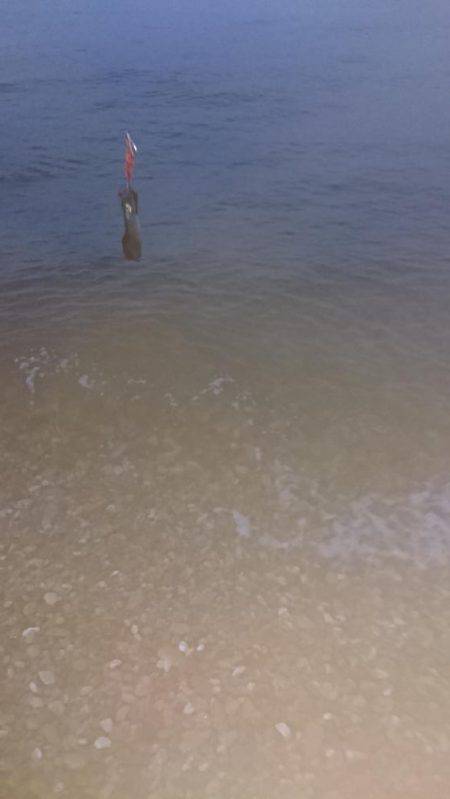 リリースつづく