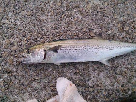 遊びすぎやで(笑)