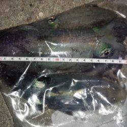 立派に育ってますよ！