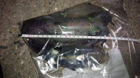 立派に育ってますよ！