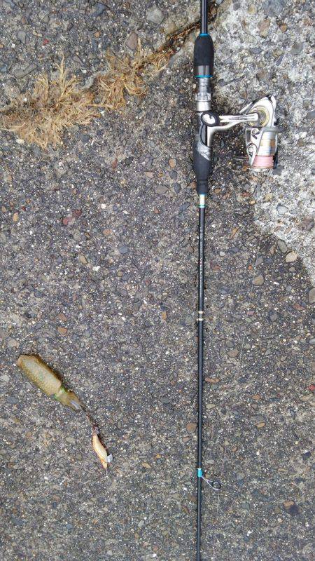 そこそこのアタリ…