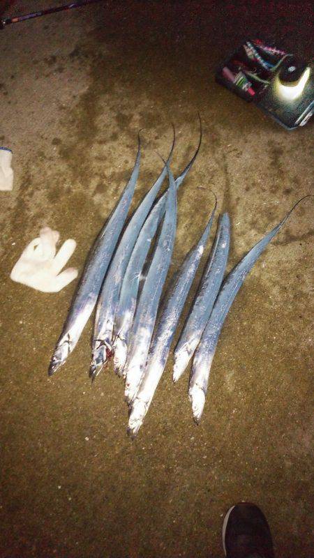 南港うおつり園釣果！！