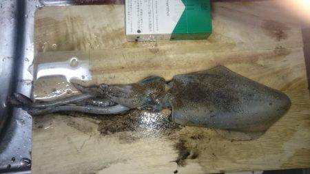 エギングオンリー