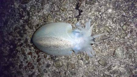 ひとヒトひと…