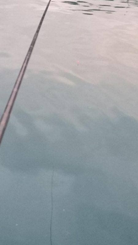 台風後のアジ釣り