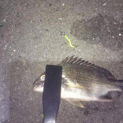 チーバスチビレ