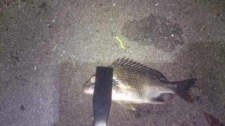 チーバスチビレ