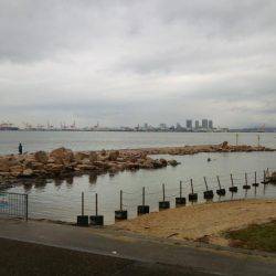 ハゼはいるかな？