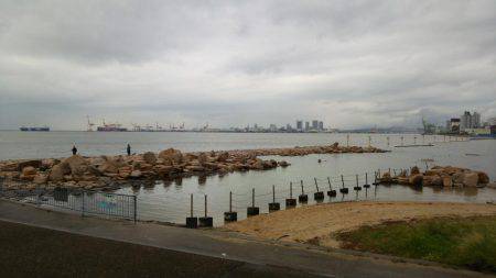 ハゼはいるかな？