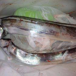 ようこそ太刀ちゃん(*^_^*)