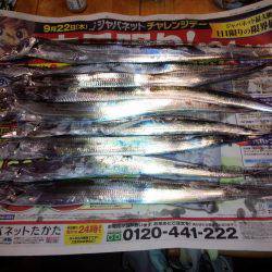 太刀魚うおー！