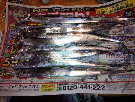 太刀魚うおー！