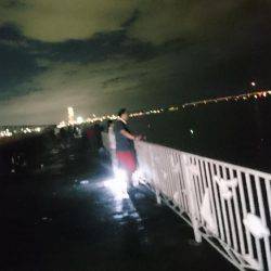 タチウオ短時間狙いで