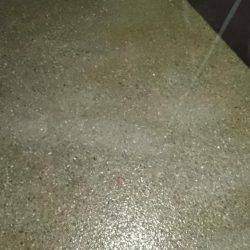 大雨短時間釣行