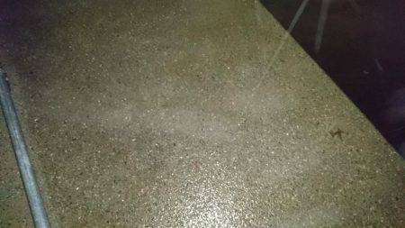 大雨短時間釣行