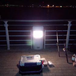 今年初南港。。