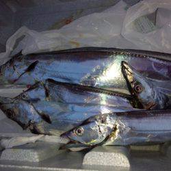 リベンジ　コスモスクエア