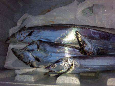 リベンジ　コスモスクエア