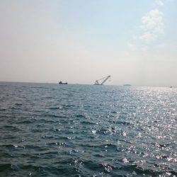 何が出るかな？