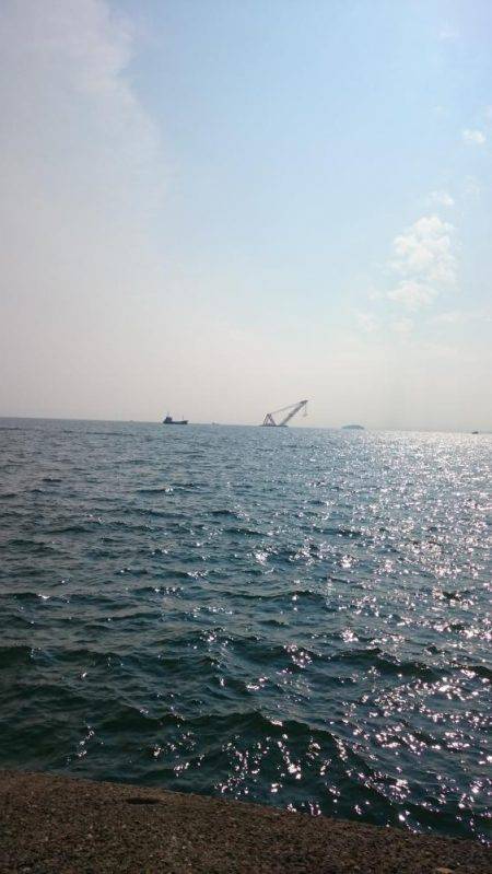 何が出るかな？