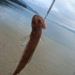 台風後のサーフで