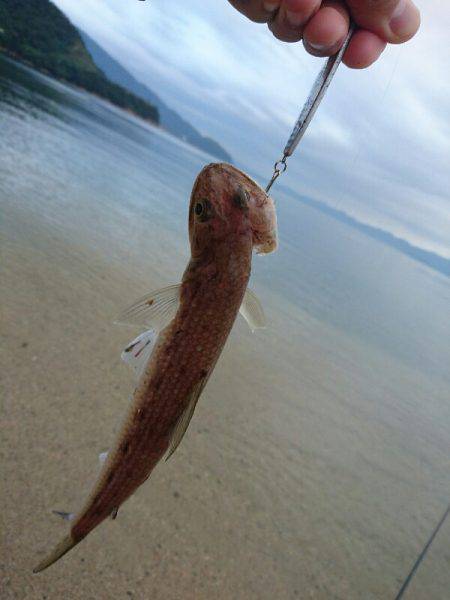 台風後のサーフで