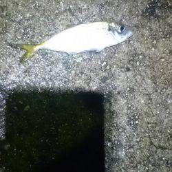 雨にも負けず。