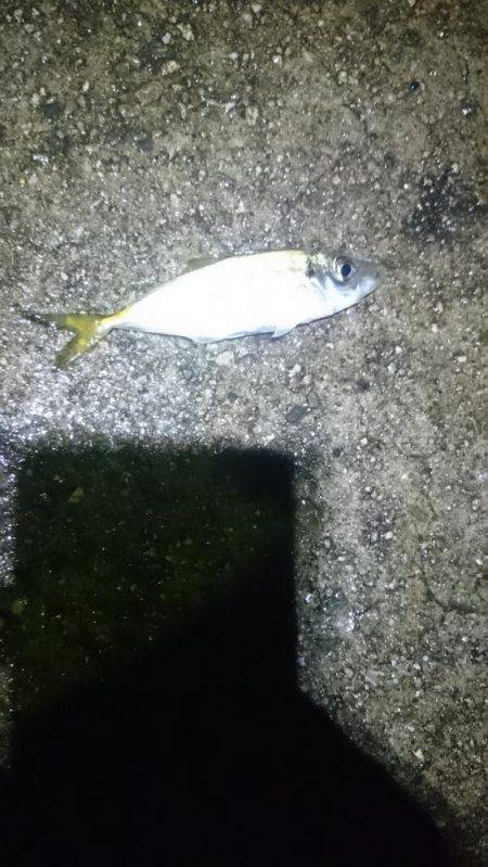 雨にも負けず。